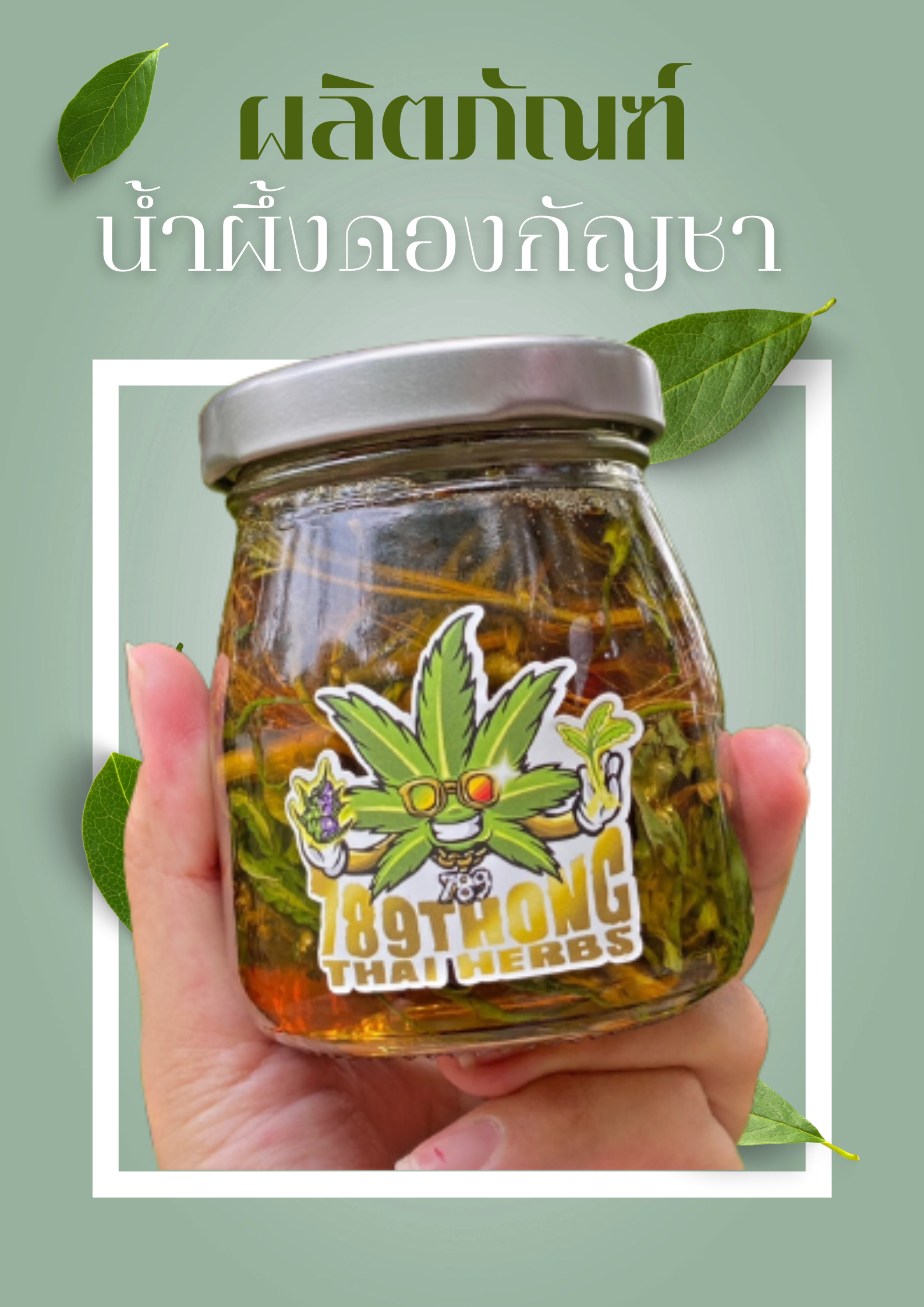 CBD, THC, กัญชง, กัญชง.กัญชา, กัญชงชา, กัญชา, กัญชากินได้, กัญชาช่วย, กัญชาดอง, กัญชาน้ำผึ้ง, กัณชงแปรรูป, กินกัญชง, กินกัญชา, น้ำผึ้ง, น้ำผึ้งช่วยโรค, น้ำผึ้งดอง, น้ำผึ้งดองกัญชา, บริโภคกัญชง, บริโภคกัญชา