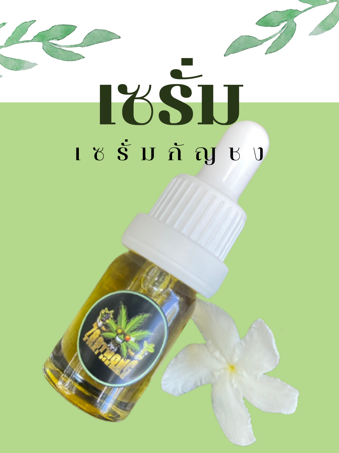 CBD, THC, กัญชง, กัญชงทาหน้า, กัญชา, กัญชาทาหน้า, กัณชงแปรรูป, ครีมกัญชง, ครีมกัญชา, ครีมกันชา, น้ำมัน, น้ำมันกัญชง, น้ำมันเมล็ดกัญชง, ผลิตภัณฑ์กัญชง, ผลิตภัณฑ์กัญชา, สกิลแคร์กัญชา, สกิลแคร์กันชง, เซรั่ม bsc กัญชง, เซรั่มกัญชง, เซรั่มกัญชา, เซรั่มลดริ้วรอย, เซรั่มเมล็ดกัญชง