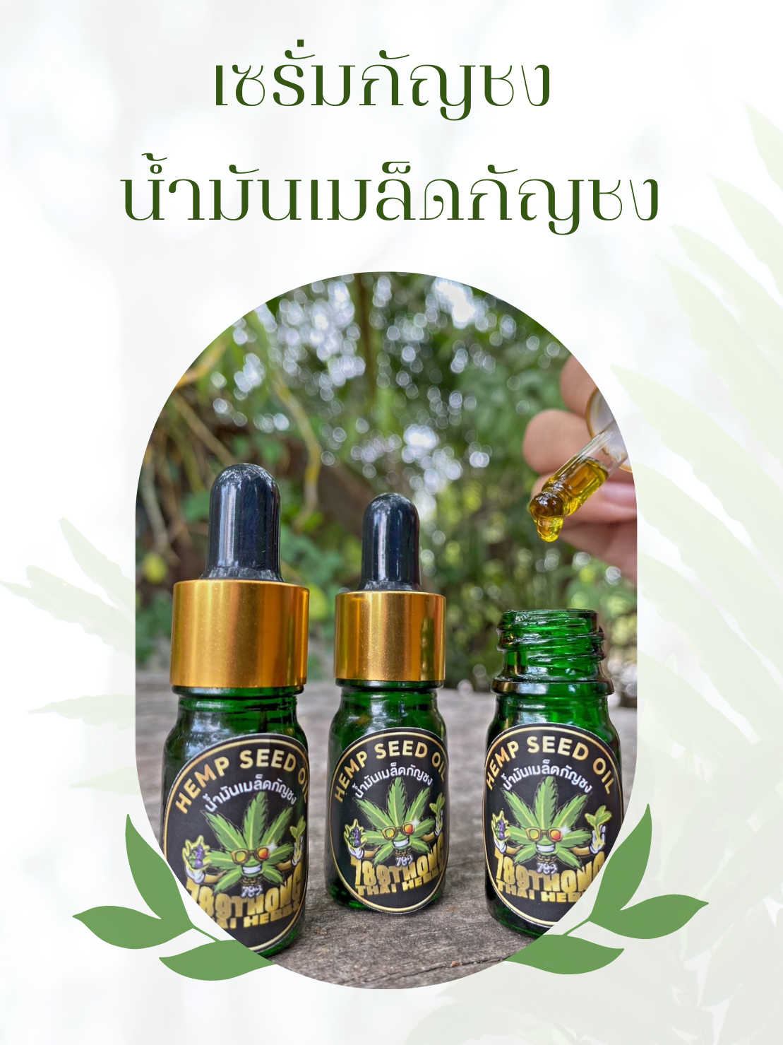 CBD, THC, กัญชง, กัญชง.กัญชา, กัญชงทาหน้า, กัญชา, กัญชาทาหน้า, ครีมกัญชง, ครีมกัญชา, น้ำมัน, น้ำมันกัญชง, น้ำมันเมล็ดกัญชง, ผลิตภัณฑ์กัญชง, ผลิตภัณฑ์กัญชา, สกิลแคร์กัญชา, สกิลแคร์กันชง, เซรั่ม bsc กัญชง, เซรั่มกัญชง, เซรั่มกัญชา, เซรั่มเมล็ดกัญชง