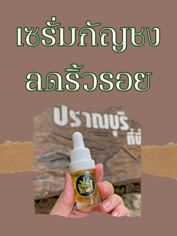 CBD, THC, กัญชง, กัญชงทาหน้า, กัญชา, กัญชาทาหน้า, กัณชงแปรรูป, ครีมกัญชง, ครีมกัญชา, ครีมกันชา, น้ำมัน, น้ำมันกัญชง, น้ำมันเมล็ดกัญชง, ผลิตภัณฑ์กัญชง, ผลิตภัณฑ์กัญชา, สกิลแคร์กัญชา, สกิลแคร์กันชง, เซรั่ม bsc กัญชง, เซรั่มกัญชง, เซรั่มกัญชา, เซรั่มลดริ้วรอย, เซรั่มเมล็ดกัญชง