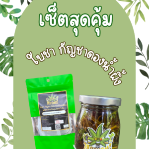 CBD, THC, กัญชง, กัญชง.กัญชา, กัญชงชา, กัญชา, กัญชากินได้, กัญชาช่วย, กัญชาดอง, กัญชาน้ำผึ้ง, กัณชงแปรรูป, กินกัญชง, กินกัญชา, น้ำผึ้ง, น้ำผึ้งช่วยโรค, น้ำผึ้งดอง, น้ำผึ้งดองกัญชา, บริโภคกัญชง, บริโภคกัญชา, ผ่อนคลาย, ใบกัญชง, ใบกัญชงอบแห้ง